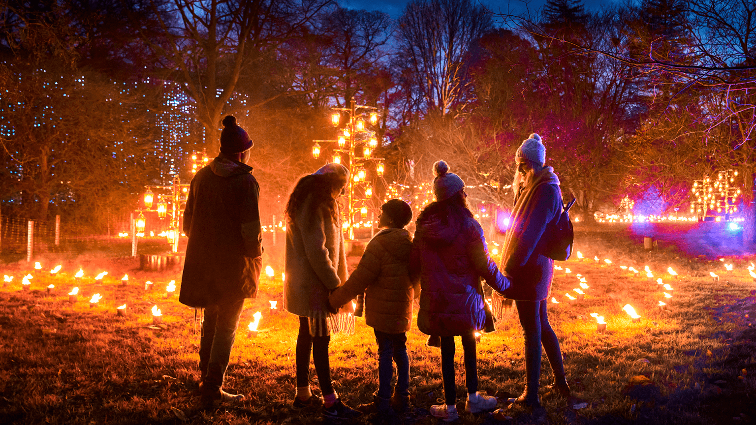 Christmas at Kew – Illuminations and Seasonal Fayre  Surrey Trips